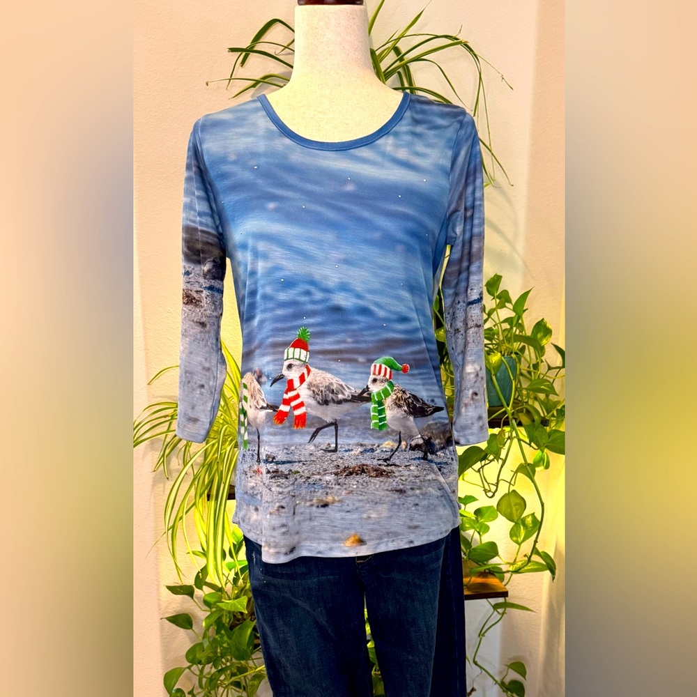 Sun Bay Blue Long Sleeve Christmas Top